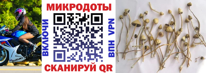 купить наркотики сайты  Миасс  Псилоцибиновые грибы Psilocybine cubensis 