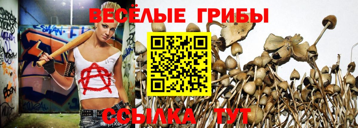 как найти закладки  Галлюциногенные грибы прущие грибы  Вход с VPN  Миасс 