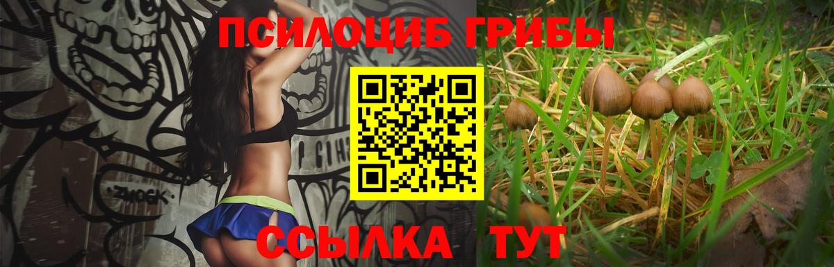 Галлюциногенные грибы мухоморы Миасс